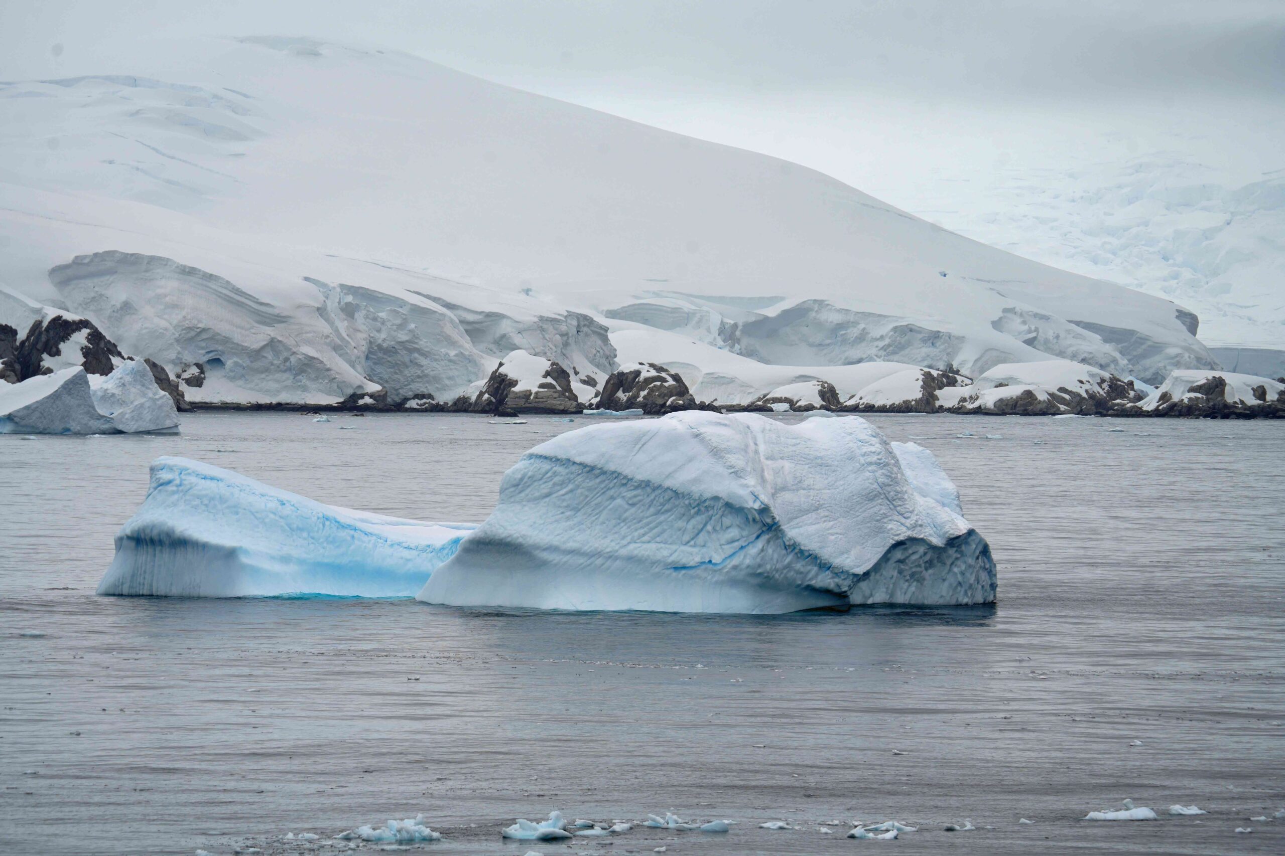 Antarctica – Oceanview