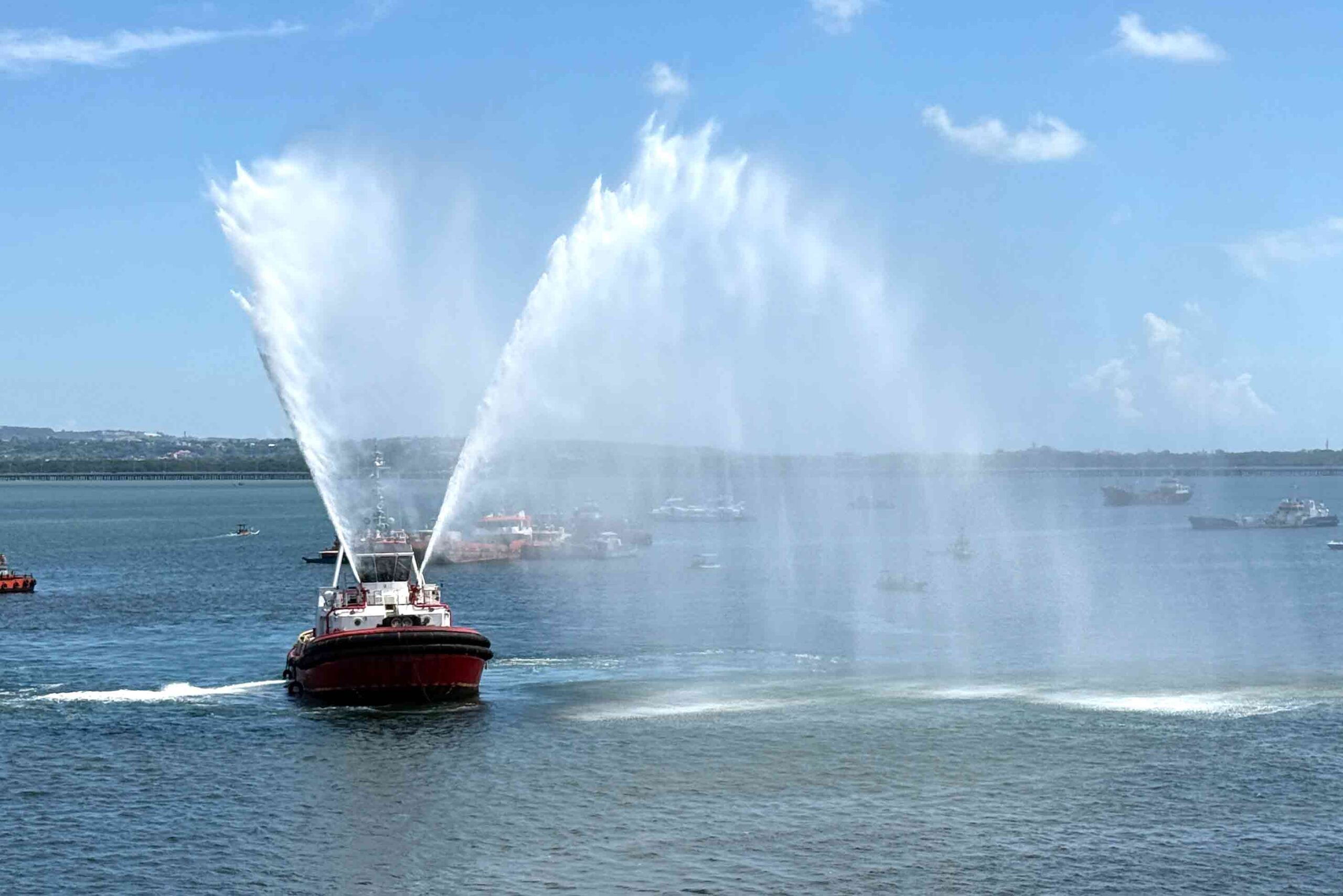 Not Bonding With Bali