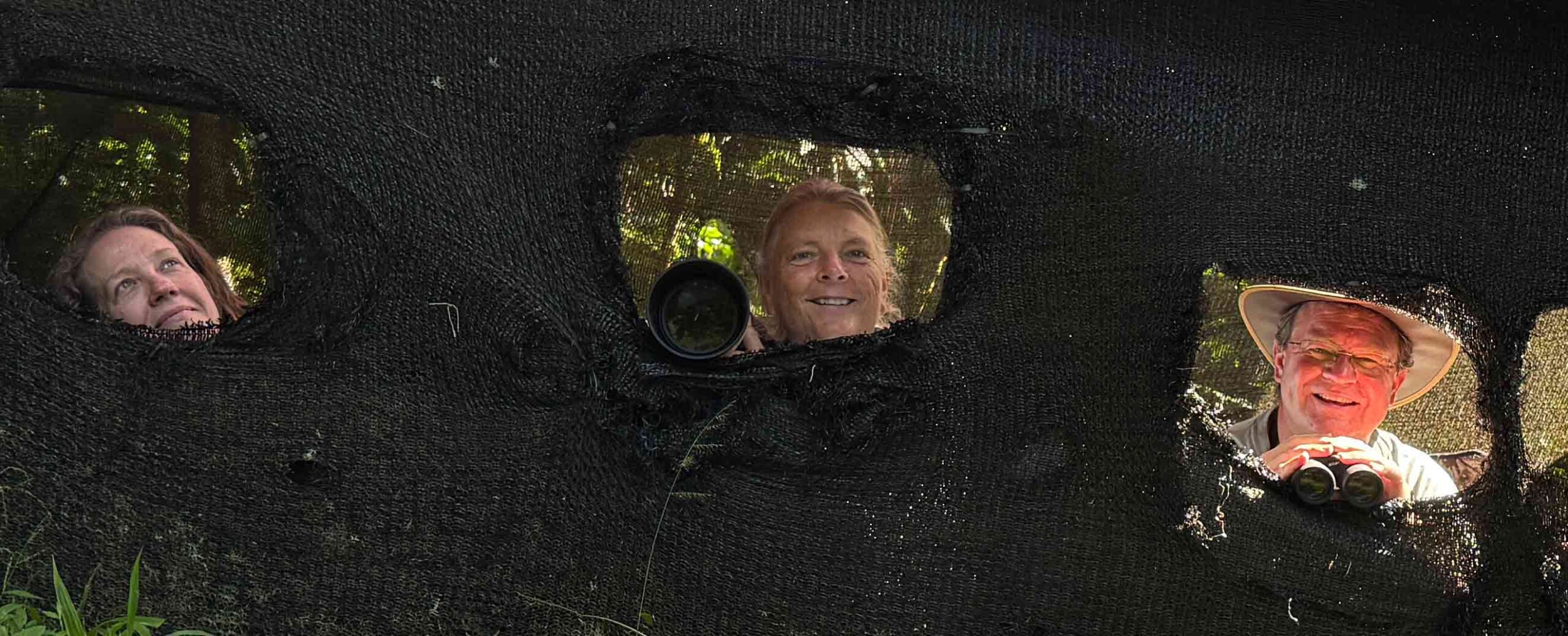 Hiding From the Birds